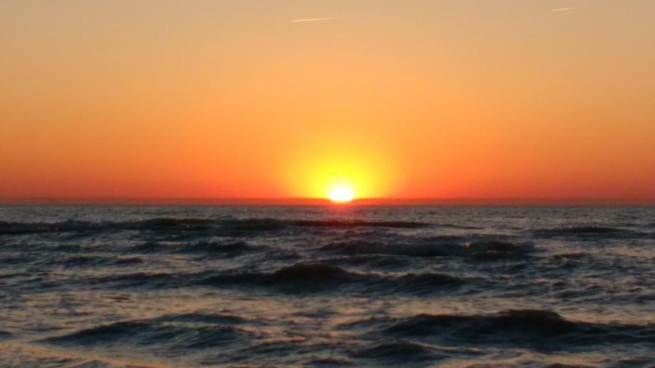 Malibu Beach Koksijde Dış mekan fotoğraf